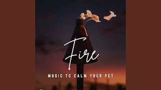 Fireside Harmony Whiskers