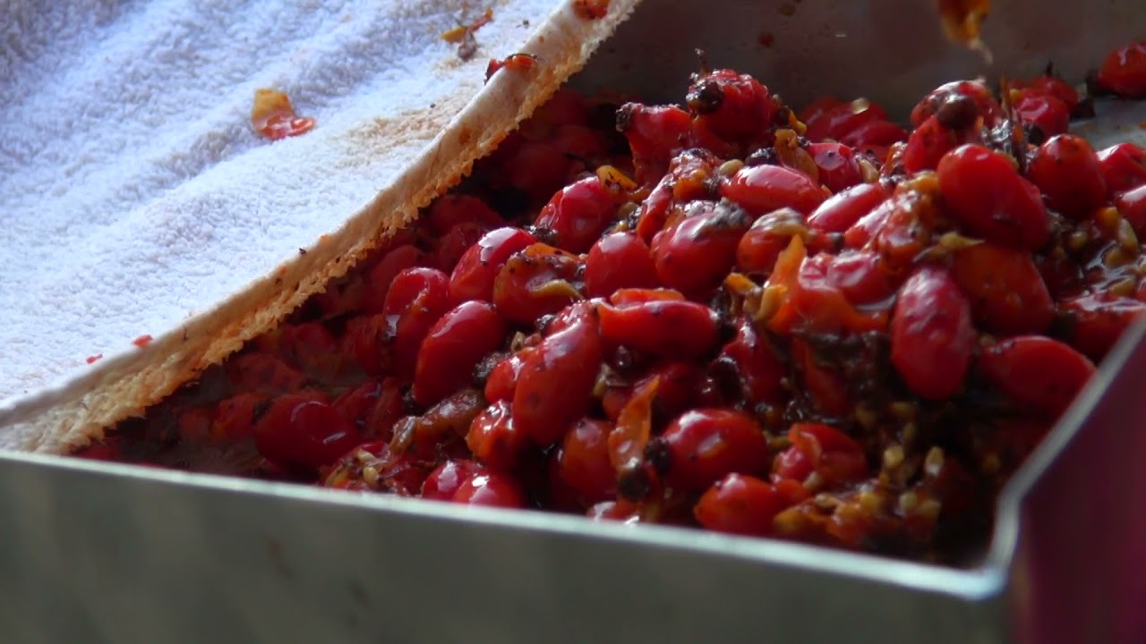 Uzgoj i obrada šipka – Danica Toman - Zlatno klasje 