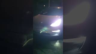 Tesla sound and light show