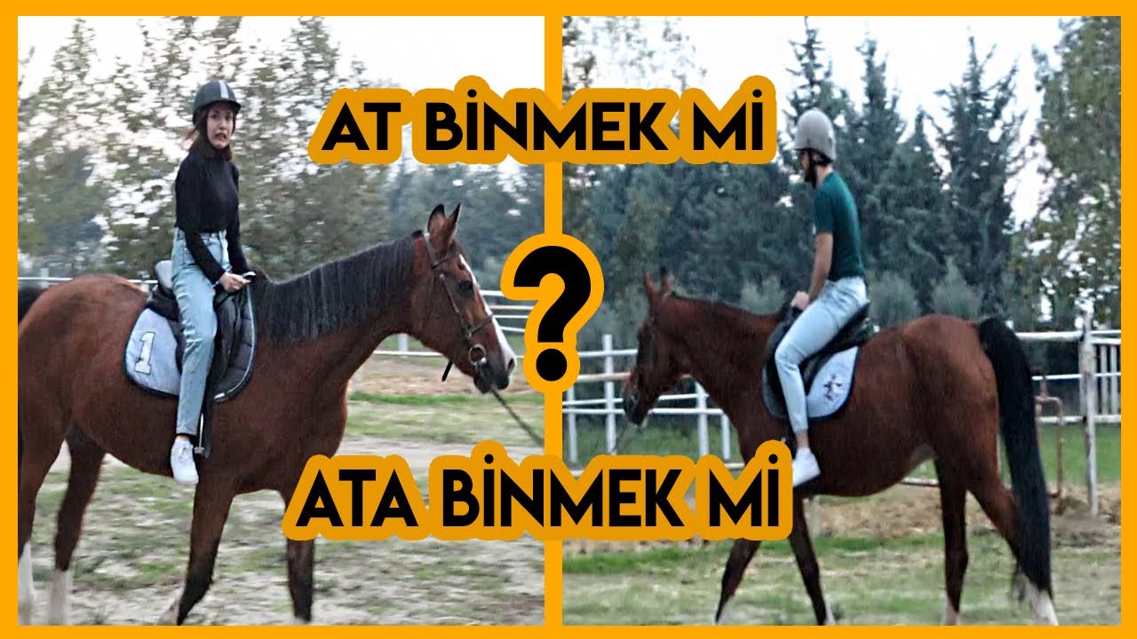AT BİNMEK Mİ ATA BİNMEK Mİ? - YouTube