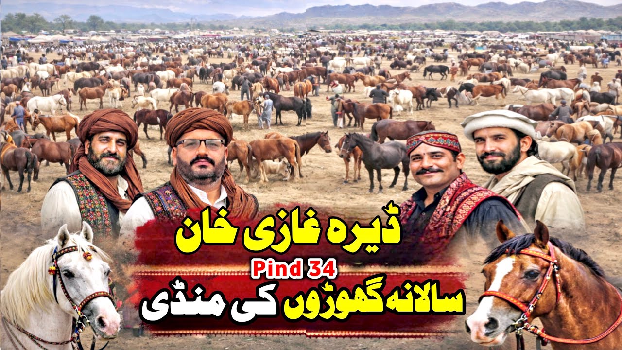 Dera Ghazi Khan Horse Mandi 2026 | Horse Festival In Punjab | Horse Sale In Punjab Mandi | Pind 34￼