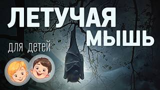 Летучая мышь. Видео про животных для детей 3+ screenshot 4