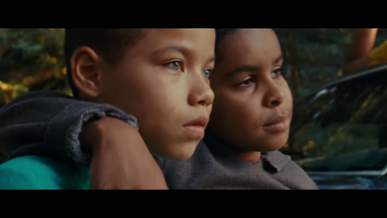 We the Animals 2019 Trailer YouTube