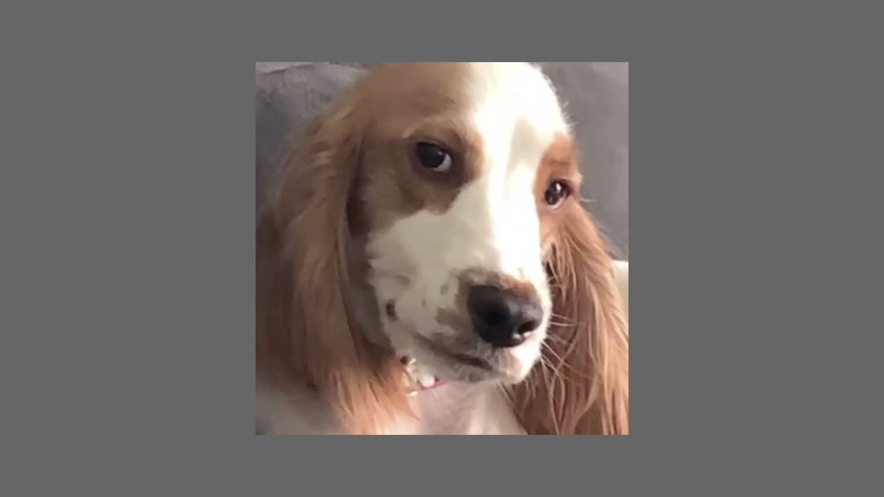 ANDAS^EN^MI^CABEZA/(speedup)