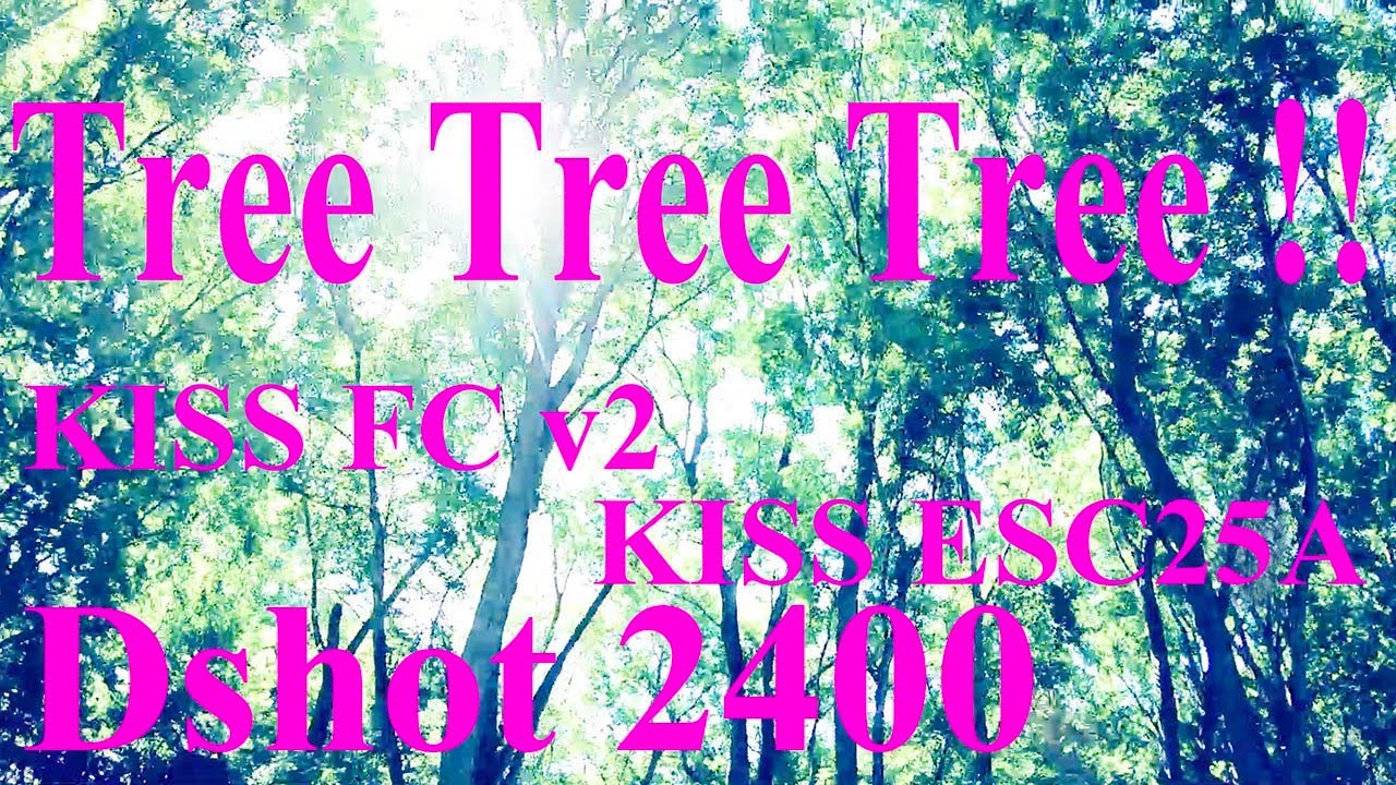 Tree Tree Tree !!  FPV Racing Drone KISS v2 F7  KISS ESC 25A 4in1 APEX OSD【 GoPro HERO7 】