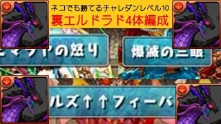 【パズドラ】ネコでも勝てるチャレダンレベル10　裏エルドラド4体編成【実況】