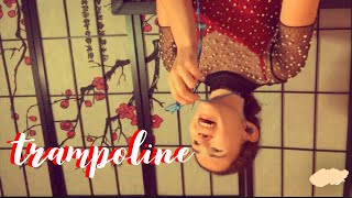 Trampoline - SHAED (COVER)
