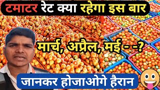 टमाटर रेट इस बार क्या रहेगा ? टमाटर महंगा रहेगा या सस्ता |  Tamatar Rate Kya Rahega | Tomato Farming