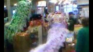 Chinese dragons at the supermarket