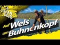 Erfolgreich Welsangeln am Buhnenkopf und Buhnenfeld | Wallerangeln vom Ufer und Boot in Deutschland