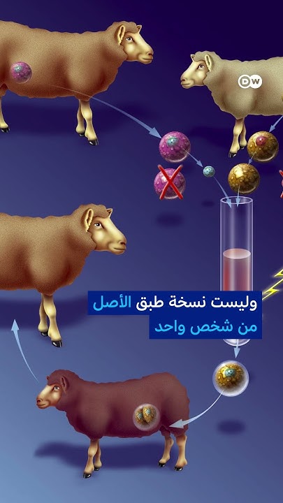 ..        
 - نشر قبل 9 دقيقة