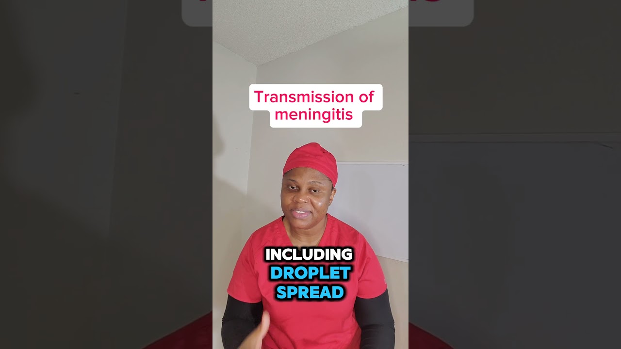 Transmission of meningitis 