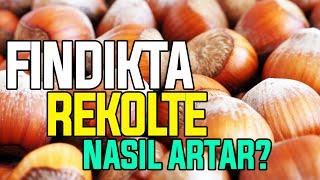 Fındıkta Rekolte Nasıl Artar? by ÇİFTÇİ TV 99 views 3 hours ago 48 minutes