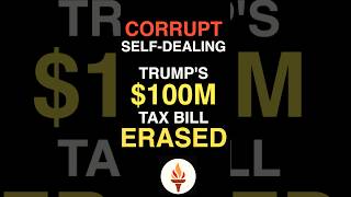 Ex-Prosecutor Explains Trump's $100M Self-Dealing