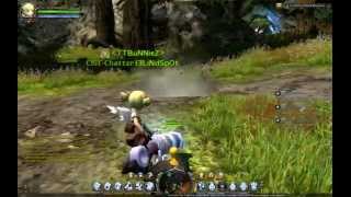 DragonNest EU Skill Bug