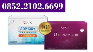 ♥️ Ini Dia Perbedaan Antara SOP100  sop100 Dan Utsukushhii
