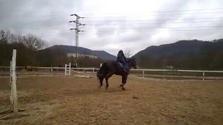 WP 20160312 11 21 55 Pro