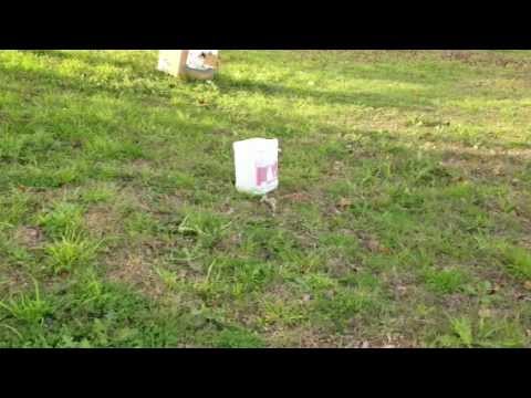 In The Red exploding target