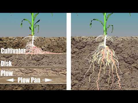 Vertical Tillage Principals