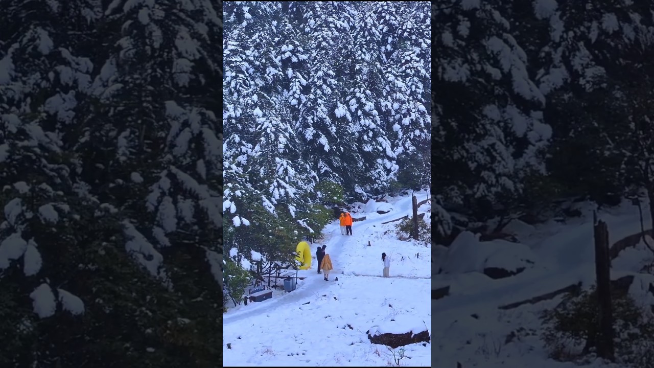 Наибольшее количество снегопадов в Китае #во время #зимы #шорты #снегопад #глобальнаядолина #живо...