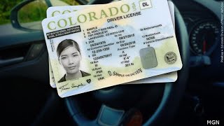 Colorado DMV and Department of Revenue report statewide outages