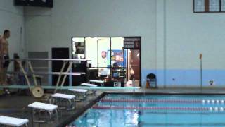 Dan Taylor Diving
