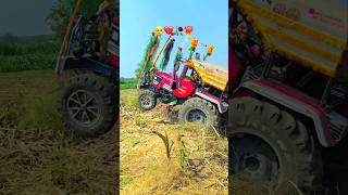 Mahindra Arjun ची खरी ताकद! 💪 किंग ऑफ शेतकरी! #tractorlover#youtubeshorts