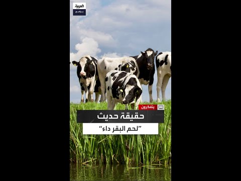 أبو عاصي أي حديث يعارض القرآن والسنة والعقل رده وأنت مطمئن
