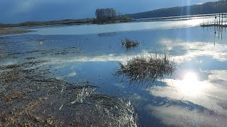 На берегу Волги