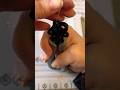 How to use a looper tool to make a bead section for Jewelry