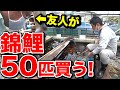 【錦鯉50匹いる旅館の池】さらに錦鯉50匹買う友人と塩田養鯉場に行く！
