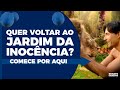 QUER VOLTAR AO JARDIM DA INOCÊNCIA? COMECE POR AQUI | #448