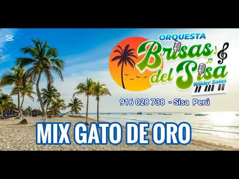 MIX GATO DE ORO - BRISAS DEL SISA💙