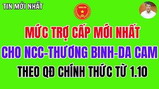📢 THÁNG 10/2026: Chính Sách Trợ Cấp Người Có Công Có Thay Đổi 3 Nhóm Đừng Bỏ Qua!
