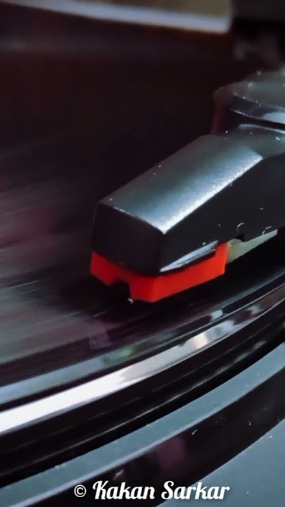 Evergreen Melody 03 #vinyl