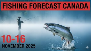 FISHING FORECAST in Canada from 10 to 16 November 2025 Drop Everything and Go Fishing