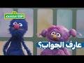 أهل ا سمسم  عارف الجواب    حرف التاء دندنها