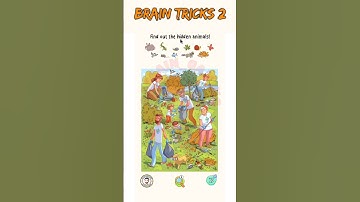 Brain Tricks 2 Level 37