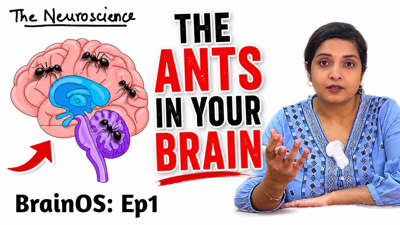 The Only 1 Way to Stop Negative Thoughts | Ep 1 Brain OS - YouTube