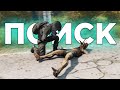 STALKER RP (DayZ) День 4. В поисках логова кровососов.