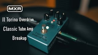 MXR Il Torino Overdrive Demo - YouTube