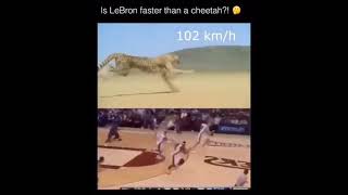 Is Lebron Faster Than A Cheetah?!  #Funny #Meme