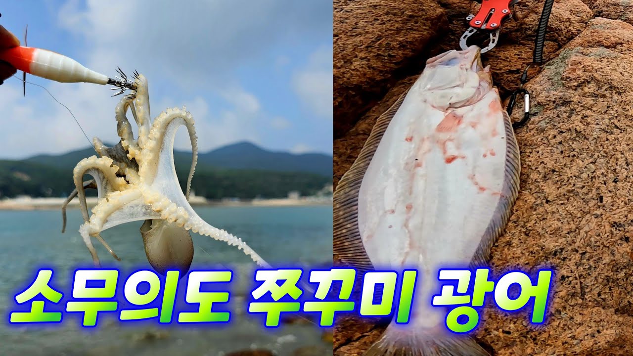 소무의도 광어 쭈꾸미 포인트 탐사
