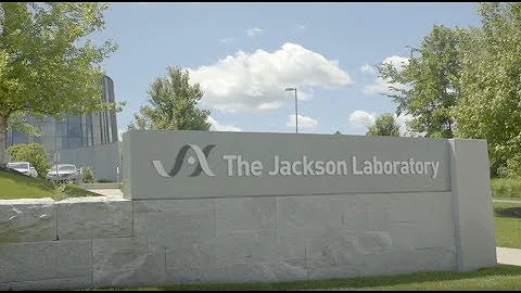 Microsoft + The Jackson Laboratory: Using AI to fight cancer - DayDayNews
