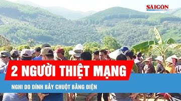 2 người thiệt mạng nghi do dính bẫy chuột bằng điện
