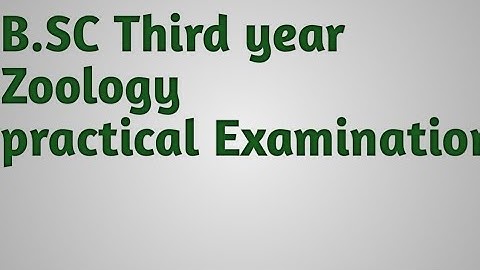 B.SC Third year, B.Sc Practical examination, Zoology