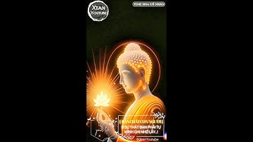 [  BẢN CHẤT CON NGƯỜI ] - 8 SỰ THẬT BẠN PHẢI TỰ MÌNH GHI NHỚ LẤY...! #tinhhoaconhan #trietlycuocsong