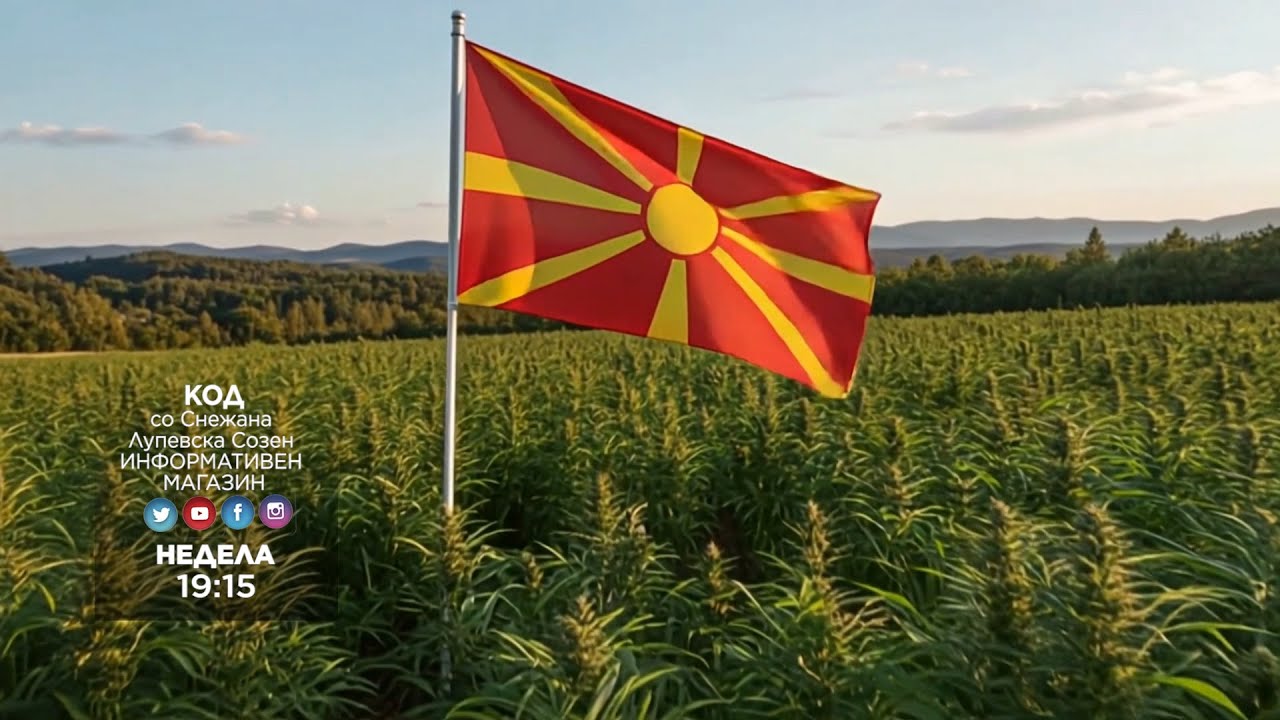 KOD 2026 - Marihuana „Made in Macedonia“ najdena vo Srbija - 08.02.2026