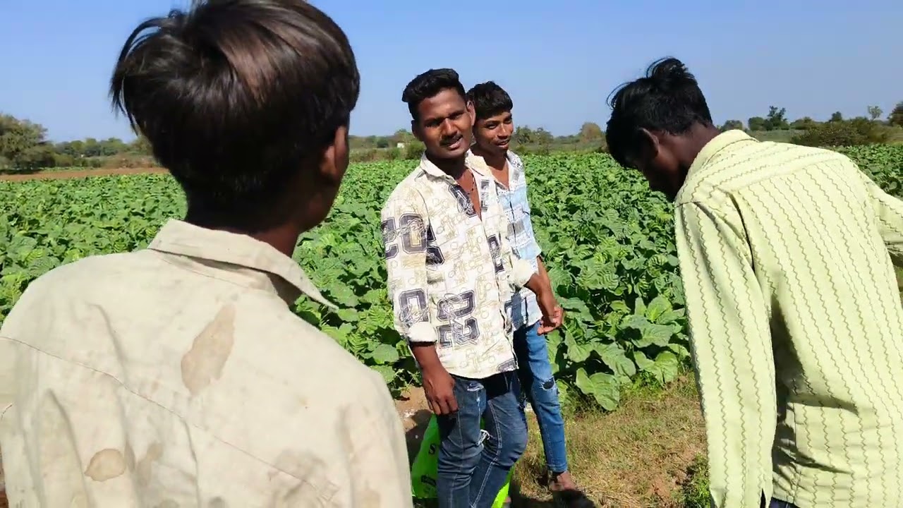 ચકાભાના ખેતરમાં પાપડીઓની લૂંટ | Gujarati Comedy Videos 😅 | #villagecomedy #gujaratifunny 