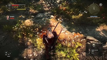 The Witcher 2 Enhanced Edition - Chapter 3 - Part 3 - The Sewers & Royal Investigation